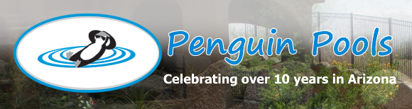 Penguin Pool Service Logo