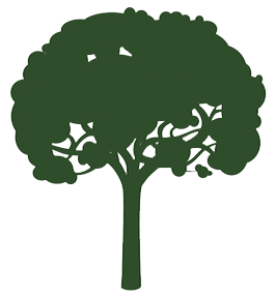 Absolute Tree Service Logo