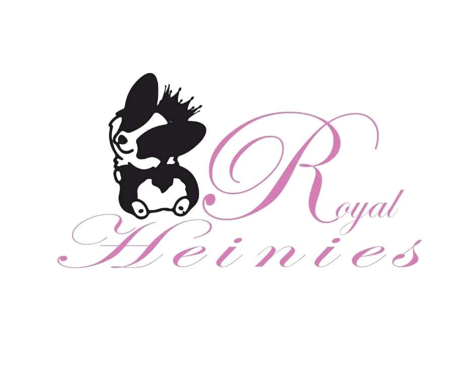 Royal Heinies Mobile Pet Grooming	 Logo