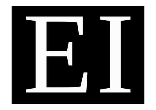Electronic Interiors Logo