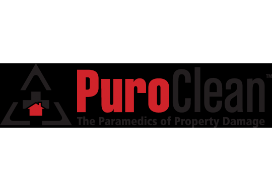 PuroClean Emergency Services Logo