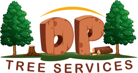 DP Tree Removal and Landscaping Logo