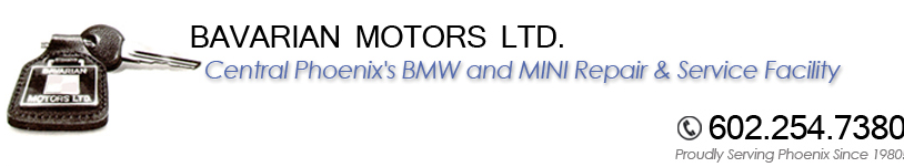 Bavarian Motors Logo
