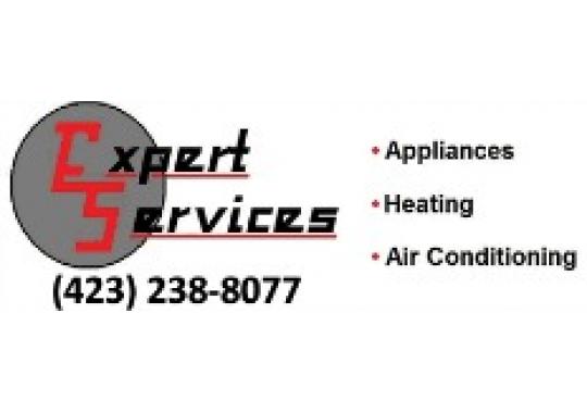 Expert Services, LLC Logo