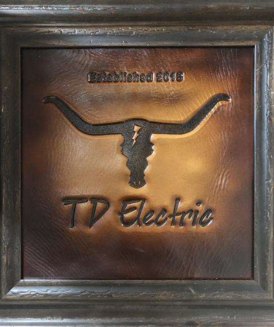 TD Electric Logo