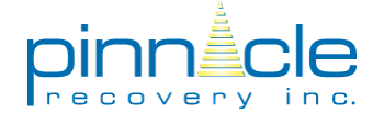 Pinnacle Recovery Inc Logo