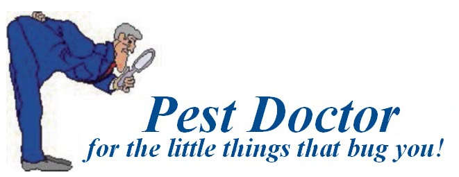 VI Pest Doctor Logo