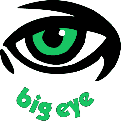 Big Eye Logo