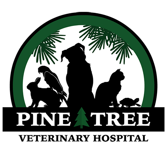 Pine Tree Veterinary Hospital Logo