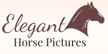 Elegant Horse Pictures Logo