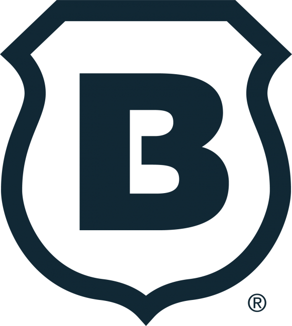 Brinks Home Logo