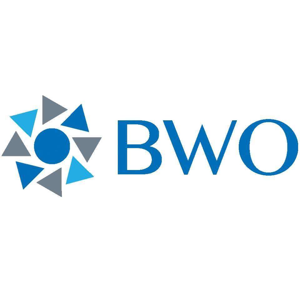 BWO Insurance Group, LLC Logo