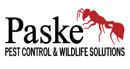 Paske Pest Control & Wildlife Solutions, LLC. Logo