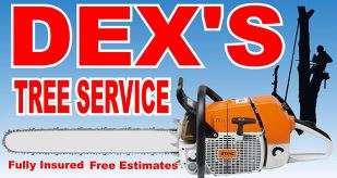 Dex's Tree Service, Inc Logo
