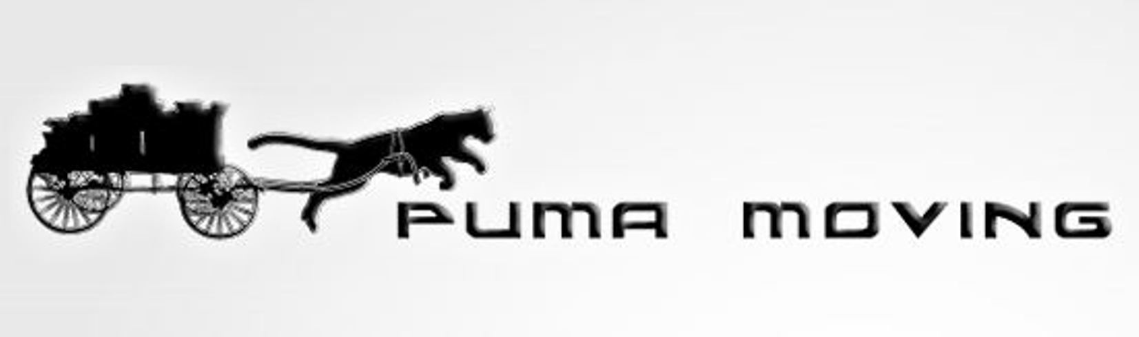 profile of puma company
