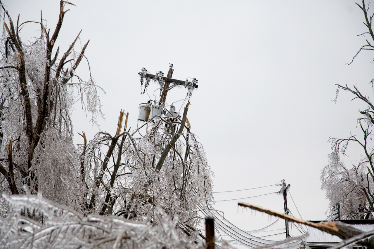 Ice storm, frozen branches and roadway 