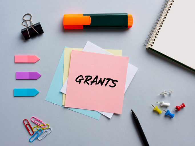 government grant scam logo