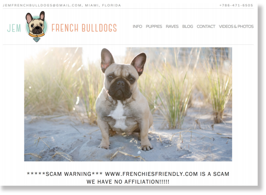 French bulldog breeder site 