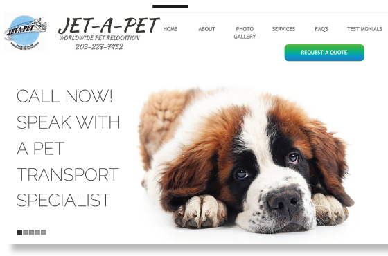 Jett-A-Pet website with dog