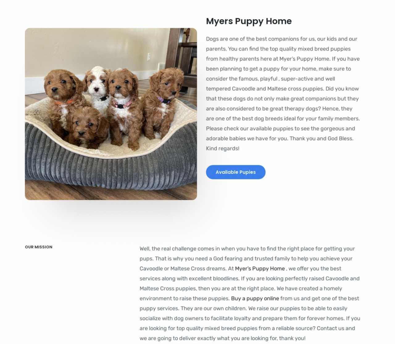 Scam website #1 for puppy scam study