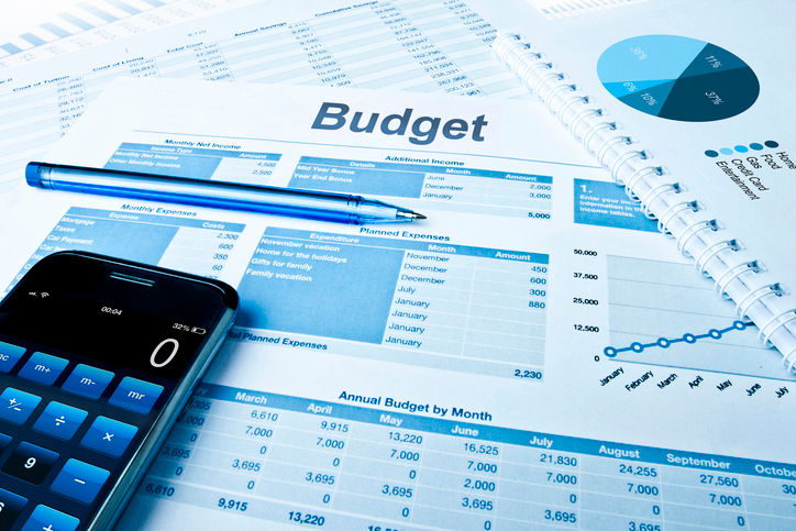 Budget planing with calculator and pie charts.