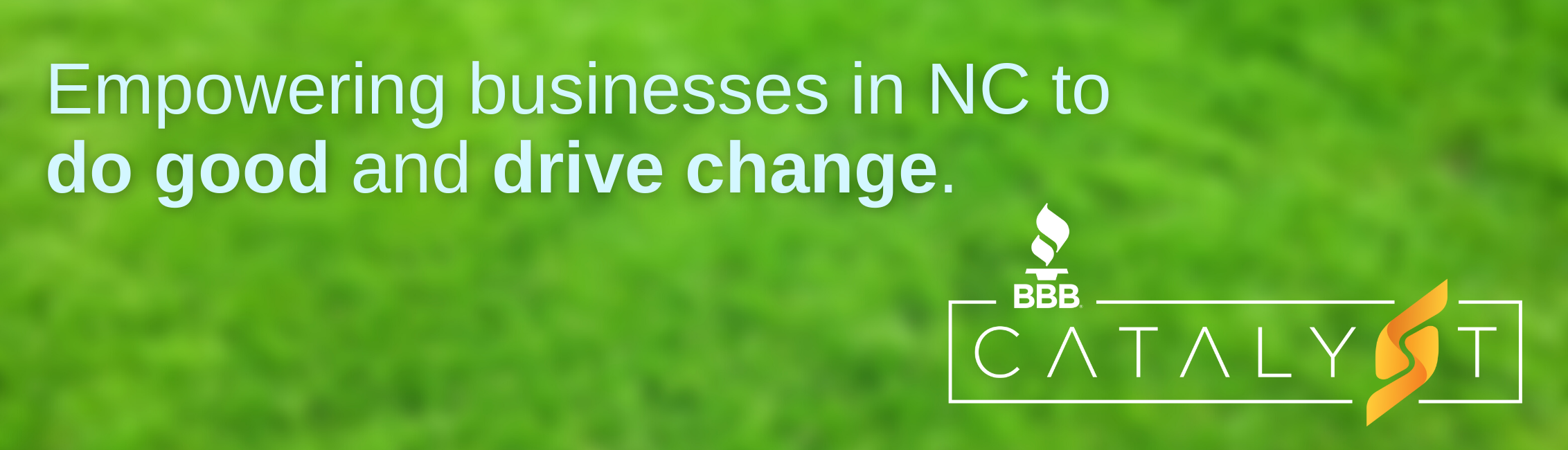 BBB Catalyst logo and "Do good. Drive change." tagline