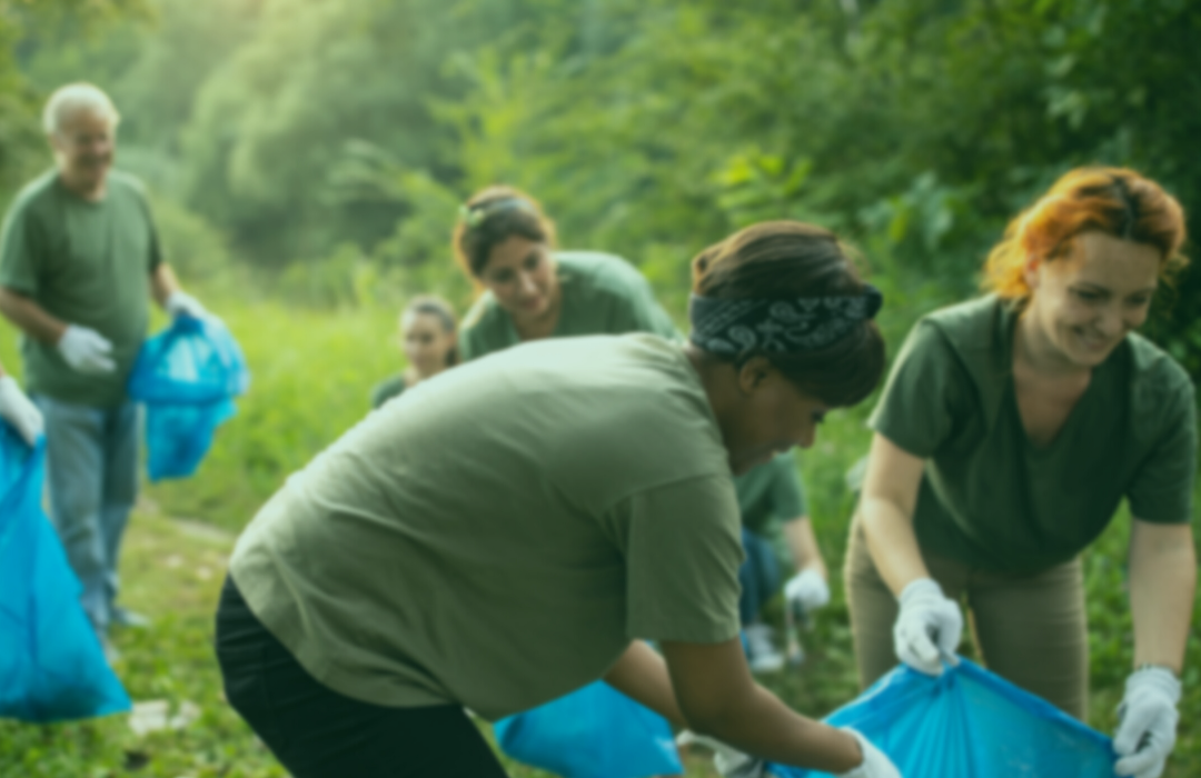 Image of environmental volunteers