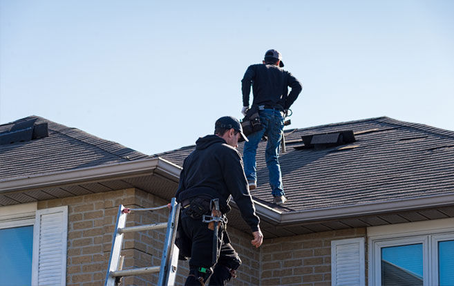 person holding smartphone looking at bbb edge content