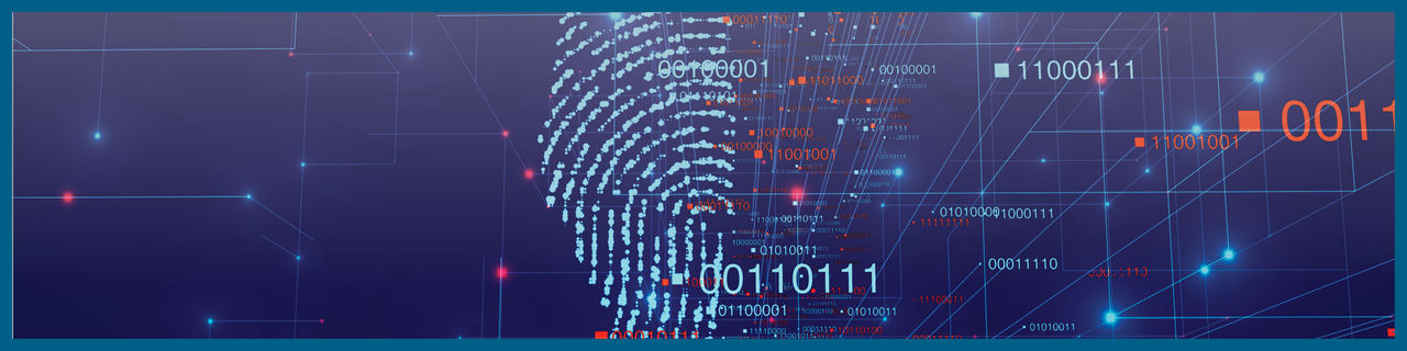 Identity Theft bumper 2