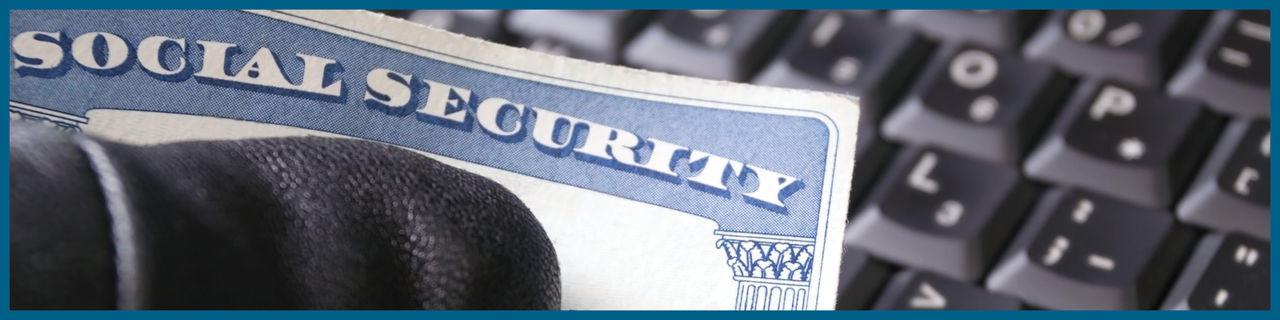 Identity Theft bumper 3