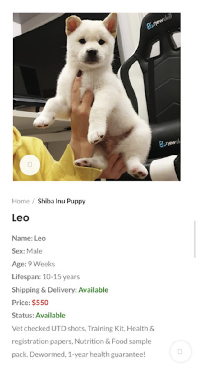 Fake ad #1 for puppy scam study