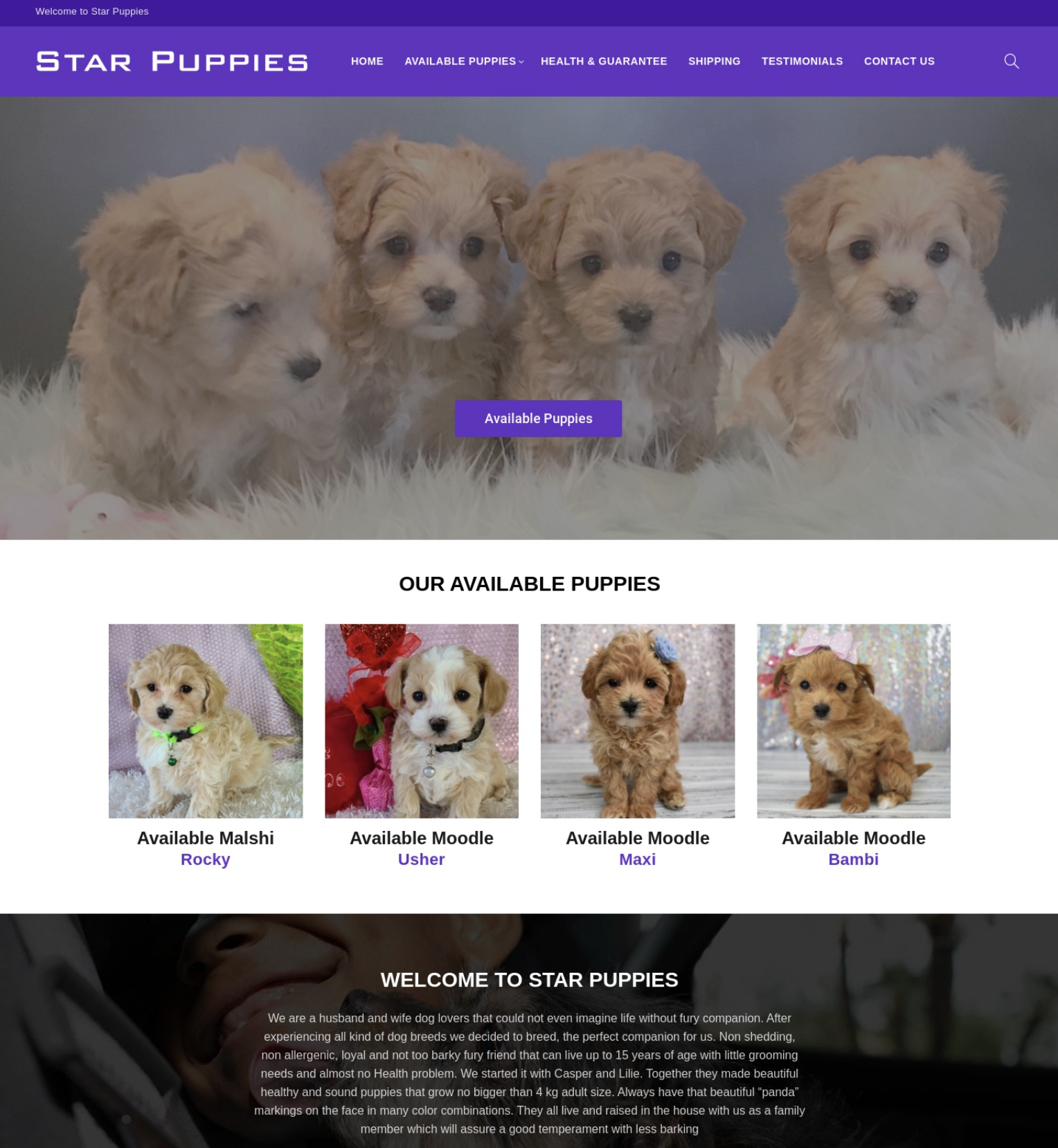 Scam website #2 for puppy scam study