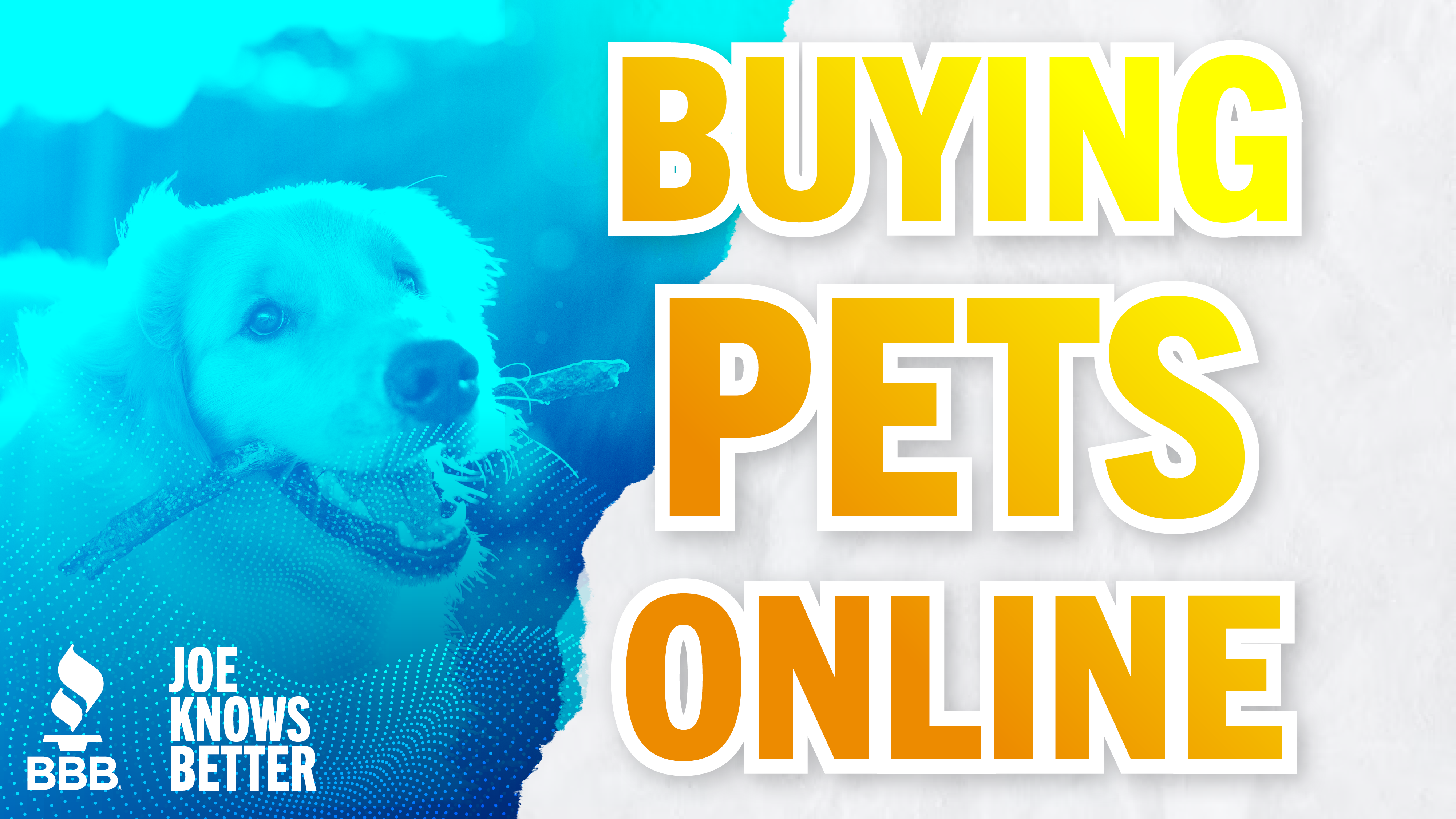 Buying Pets Online
