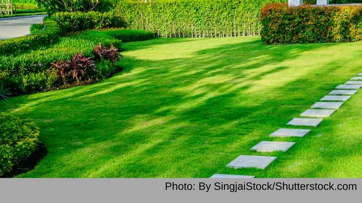 See This Report about Lawn Care Business Insurance