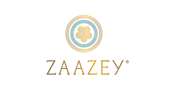 Zaazey's logo and link to article