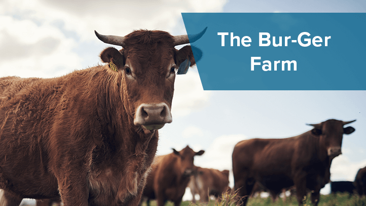Cows in field with The Bur-Ger Farm BBB Member Benefit Story and link to article