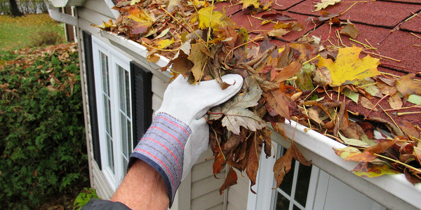 Close up shot of a landscaper cleaning the leaves out of a gutter