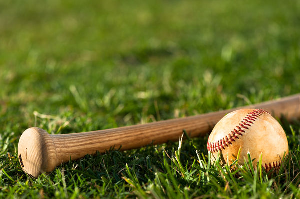 baseball bat and baseball sitting in grass