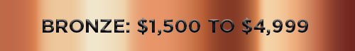 Bronze: $1,500 - $4,999
