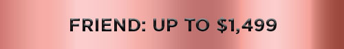 Friend: Up to $1,499