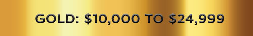 Gold: $10,000-$24,999