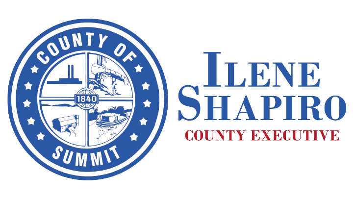 Ilene Shapiro, county executive business card