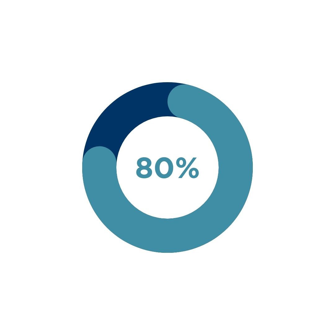 80% pie chart
