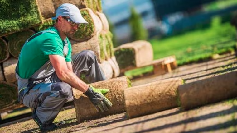 lawn care professional setting turf on the ground