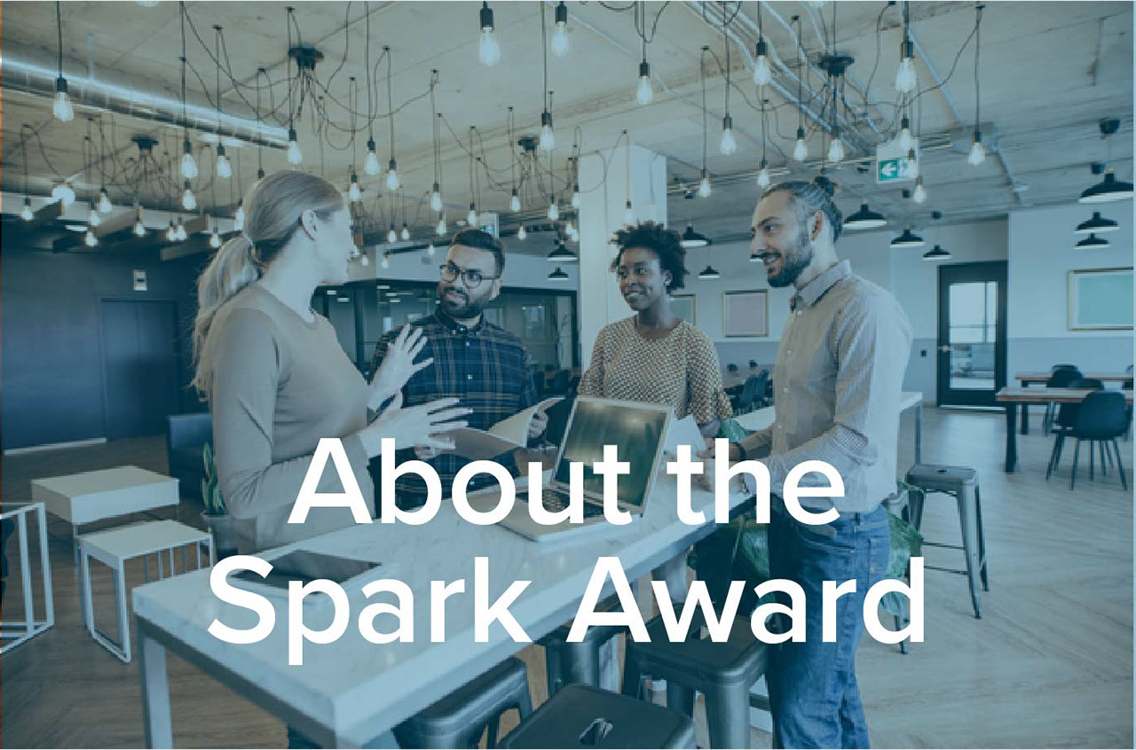 About the Spark Awards