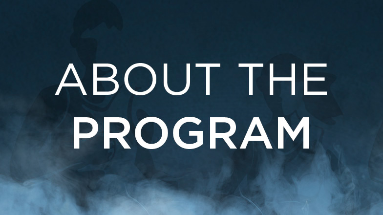 About the Program